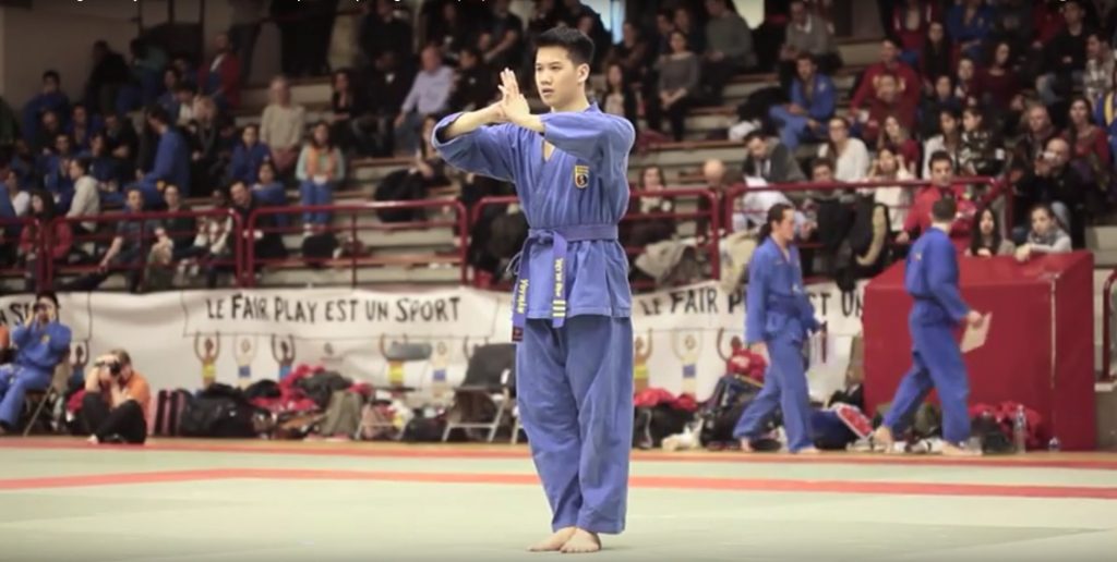 Vovinam Long Ho Quyen Video Viet Vo Dao Chaville